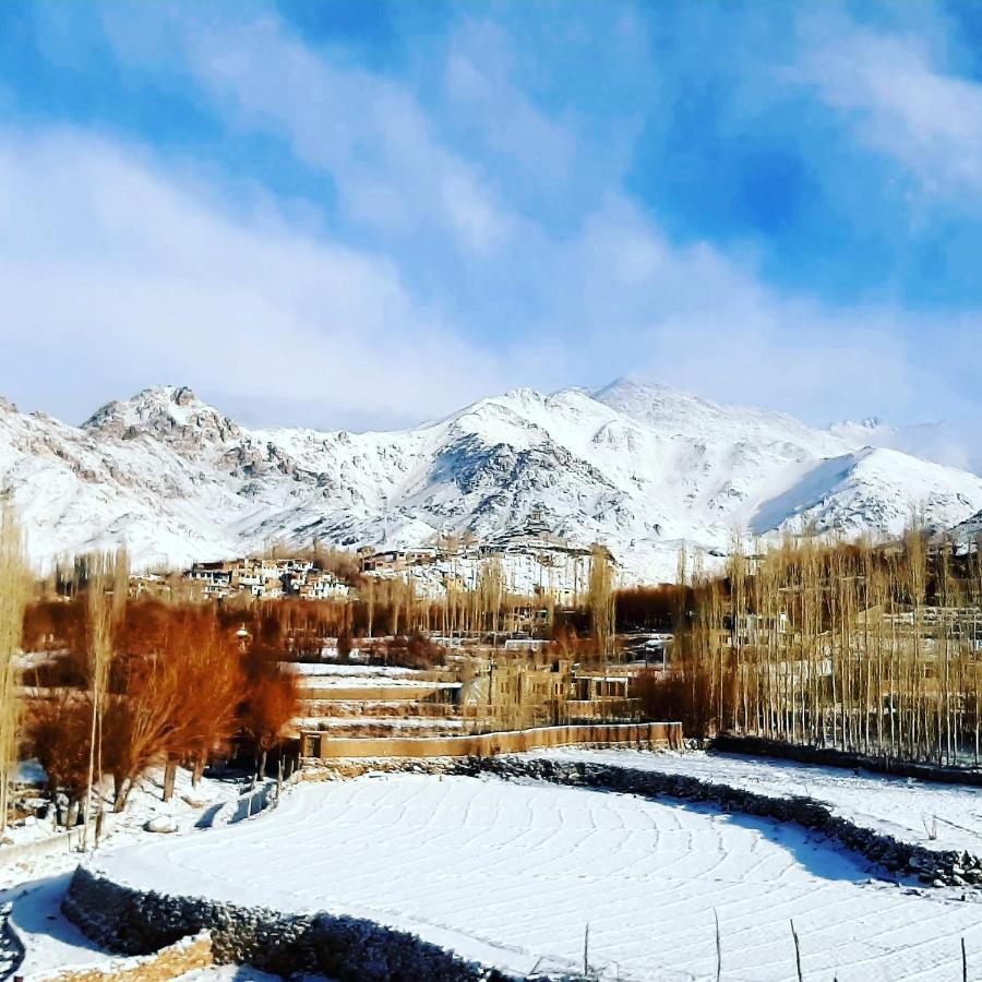 Ladakh Country Inn Léh Exteriér fotografie